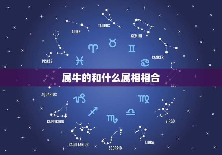 属牛的和什么属相相合(十二生肖配对大介绍)  第3张