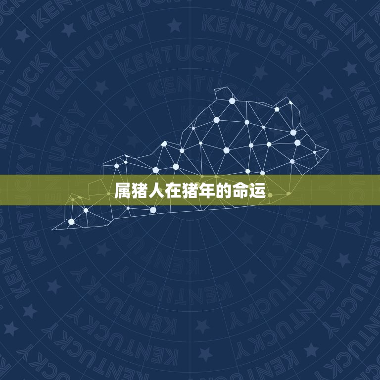 属猪的年龄表1947(了解你的猪年命运)  第2张