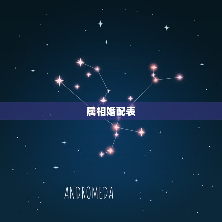 91年属相婚配表(解密哪些属相最适合搭配)  第2张