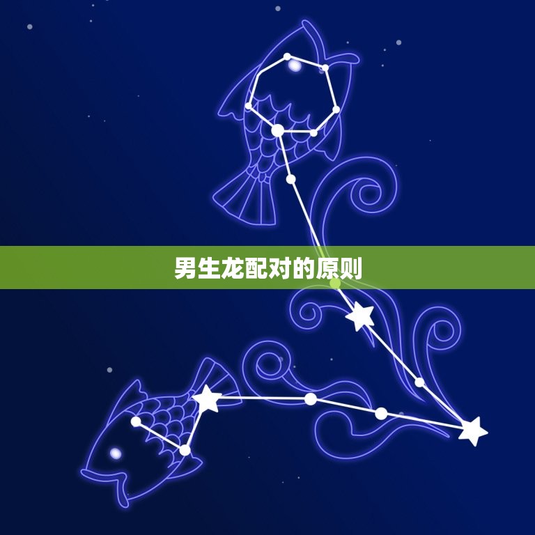 男生龙配什么生肖(如何选择配对)  第2张