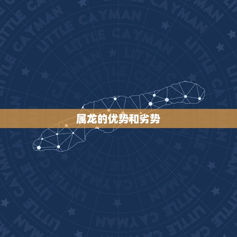 属龙的适合做什么工作(职场攻略)