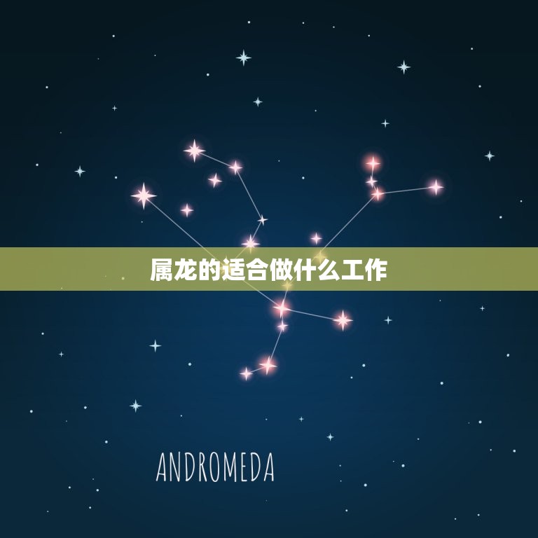 属龙的适合做什么工作(职场攻略)  第3张