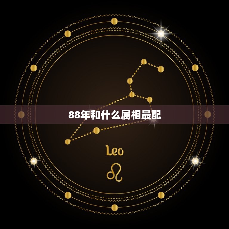 88年和什么属相最配(十二生肖配对大介绍)  第3张