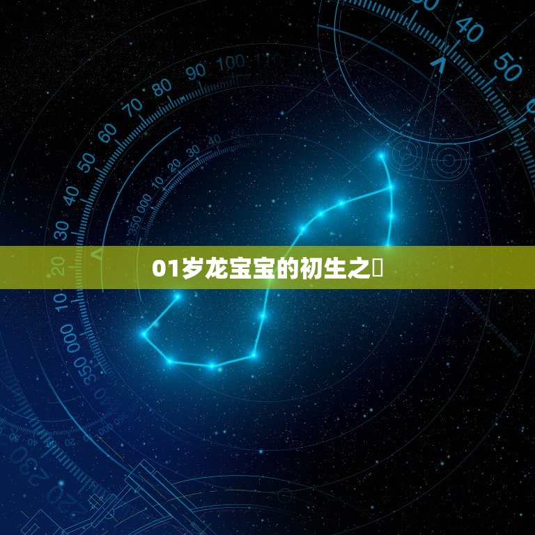 2012年的龙几岁了(探寻龙年宝宝的历程)
