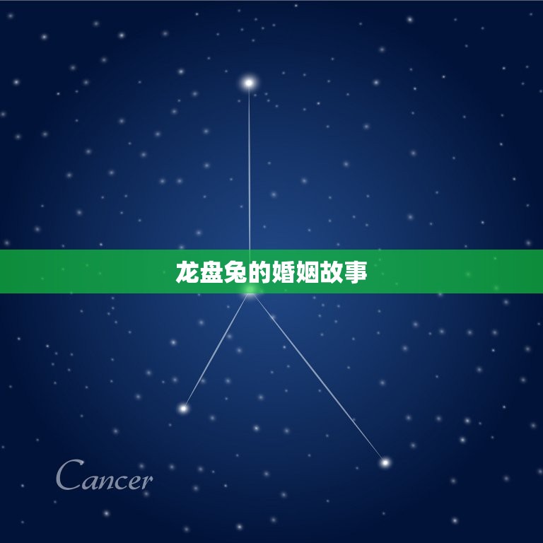龙盘兔的婚姻(一等婚的方法)