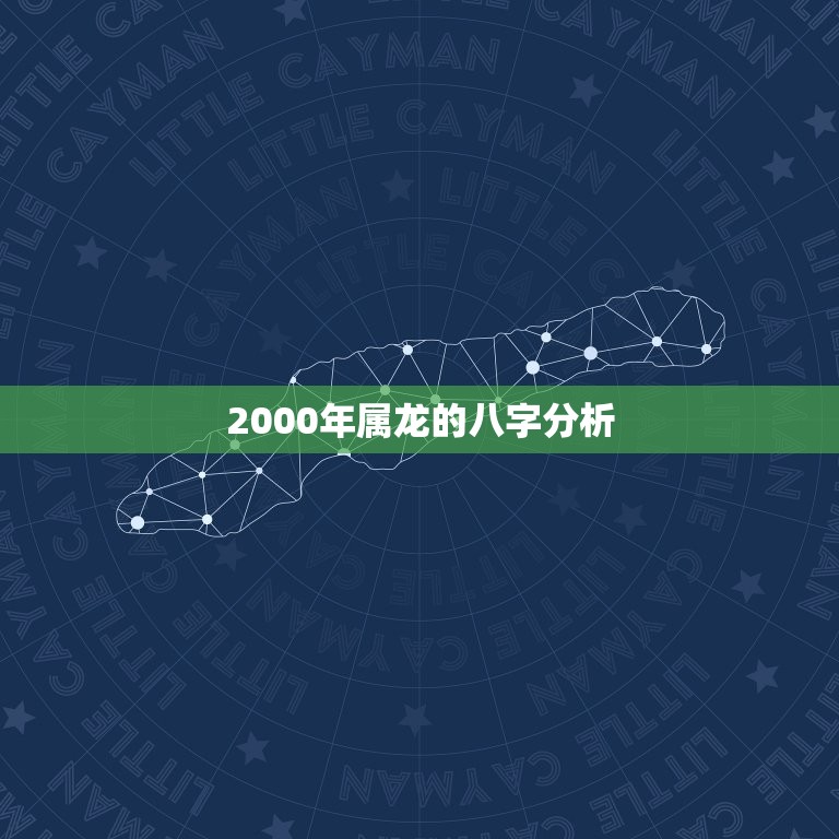 2000年属龙的八字(如何预测未来的财运和事业发展)  第2张