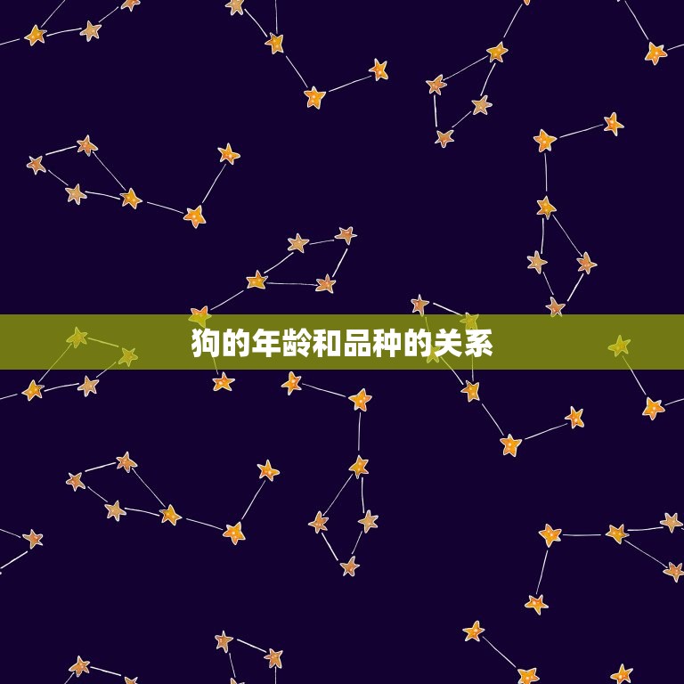 狗今年几岁了2023(如何计算狗的年龄)  第2张