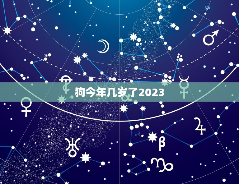 狗今年几岁了2023