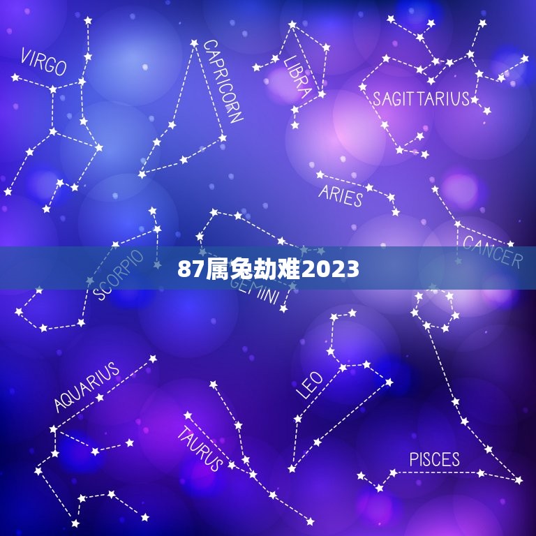 87属兔劫难2023