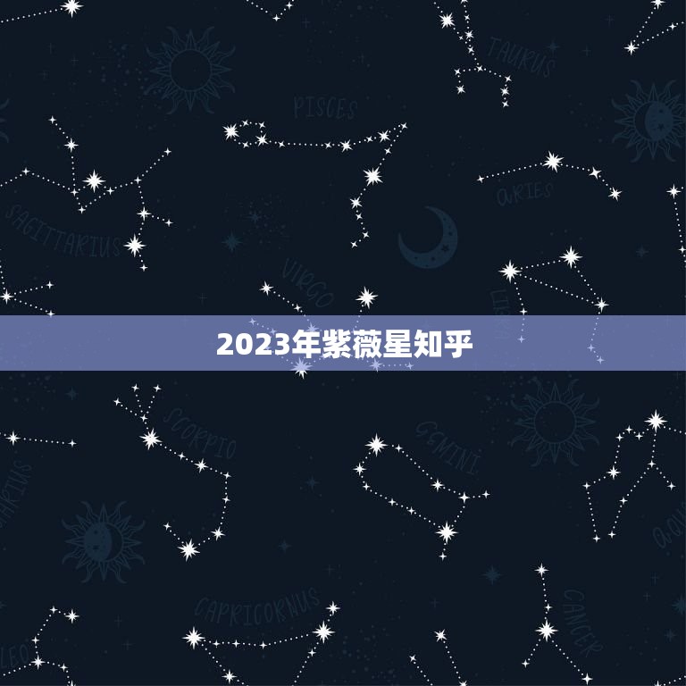 2023年紫薇星知乎(未来的智慧平台)  第3张