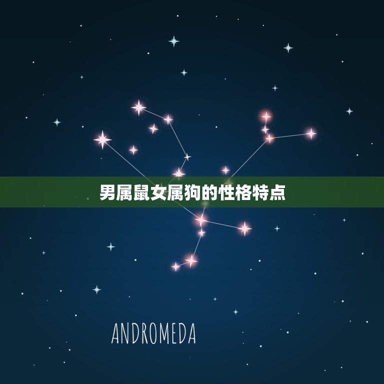 男属鼠女属狗能相配吗(星座专家介绍)