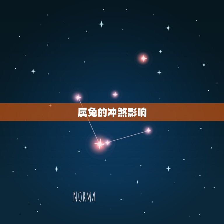 属兔的犯冲属相是什么(介绍兔子属相的冲煞影响)  第2张
