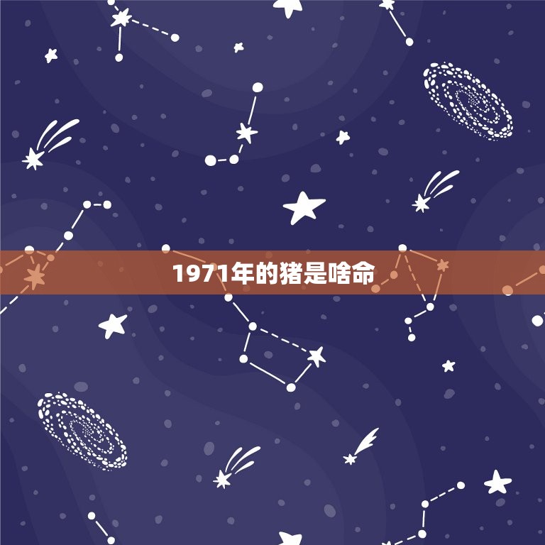 1971年的猪是啥命