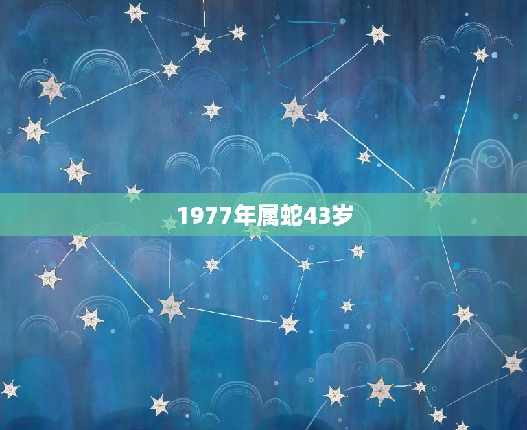 1977年属蛇43岁(如何在职场中脱颖而出)  第3张