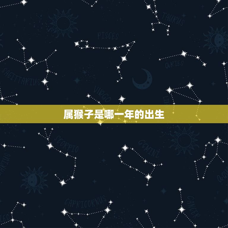 属猴子是哪一年的出生(介绍猴年生肖特征及性格特点)  第3张