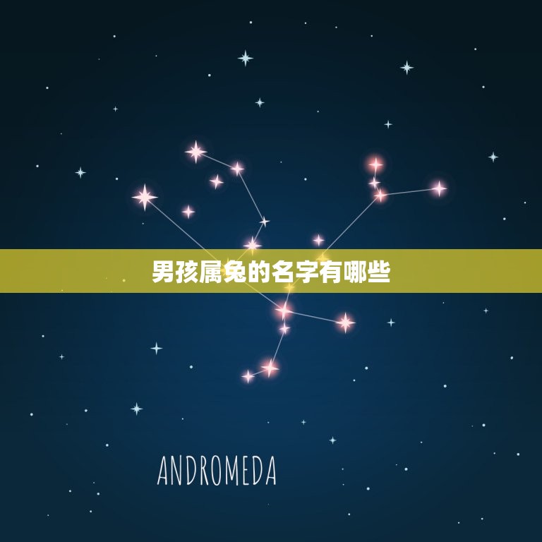 男孩属兔的名字有哪些(独具特色的兔子宝宝名字推荐)  第3张