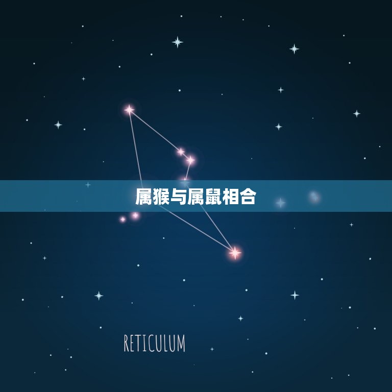 属猴的与什么属相相合(十二生肖配对大介绍)