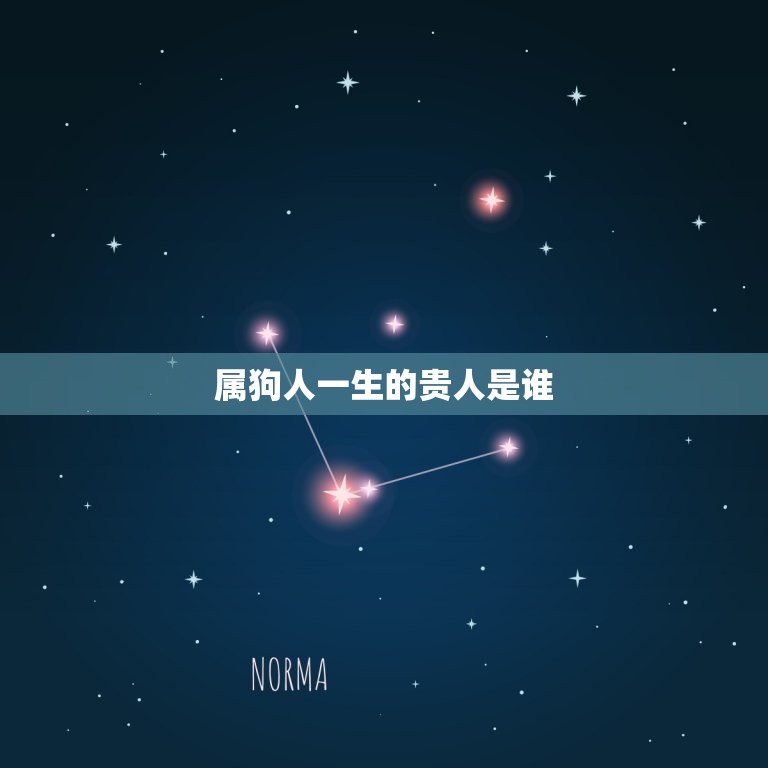 属狗人一生的贵人是谁(介绍狗年生肖的幸运之星)  第3张