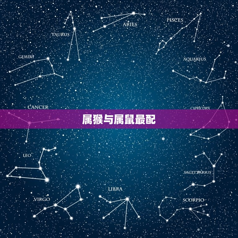 属猴跟什么属相最配对(十二生肖配对大介绍)