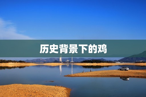 1993年的鸡的命运(从生肖到文化符号的转变)  第1张