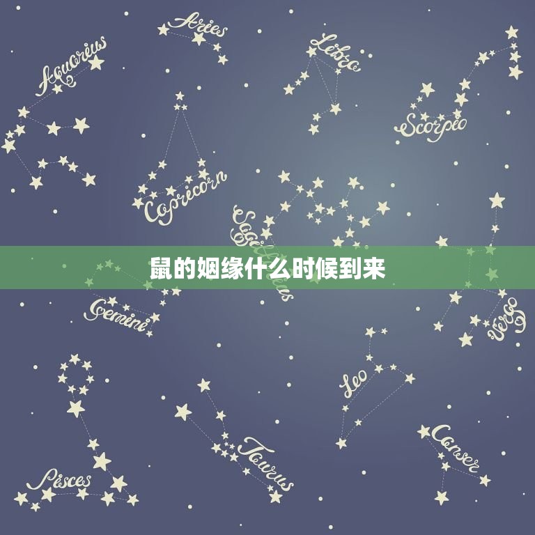 鼠的姻缘什么时候到来(寻找爱情的小老鼠)  第3张
