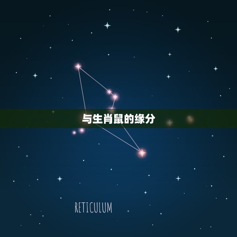 生肖狗相冲相合对照表(解读狗年与其他生肖的缘分)