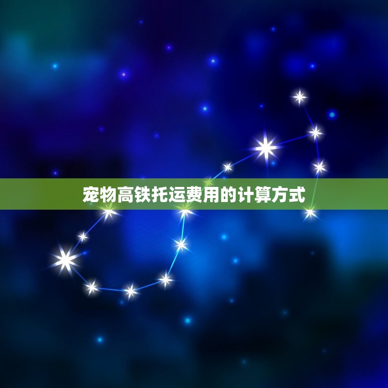宠物高铁托运怎么收费(费用详解让你安心出行)
