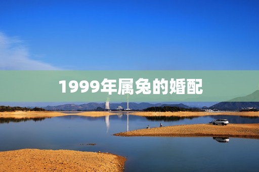 1999年属兔的婚配