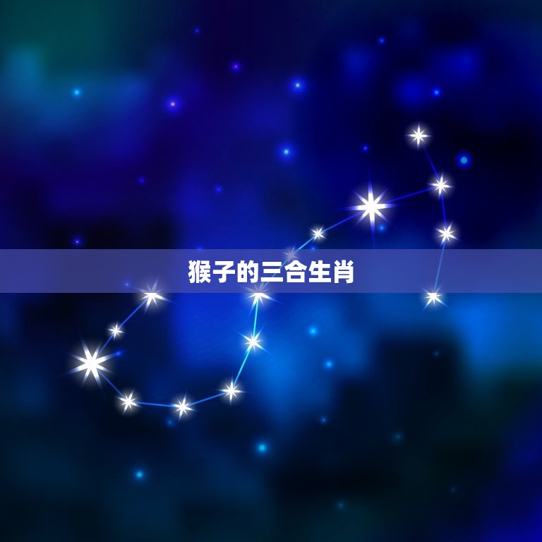 猴的三合生肖是哪几个(介绍猴子搭档)