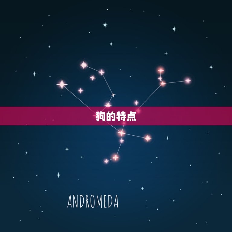 46年的人属什么生肖(你知道吗)  第2张