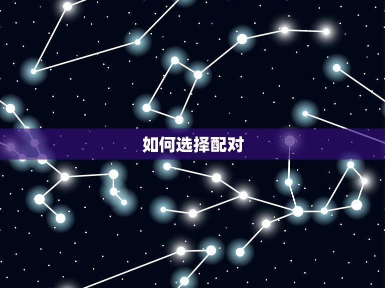 属狗找什么属相的合适(如何选择配对)  第2张