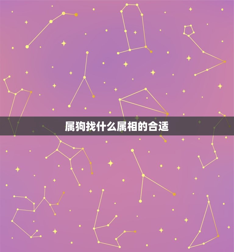 属狗找什么属相的合适(如何选择配对)  第3张