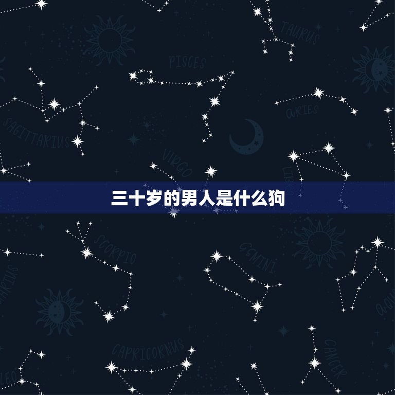 三十岁的男人是什么狗(介绍男人三十岁的心理)  第3张