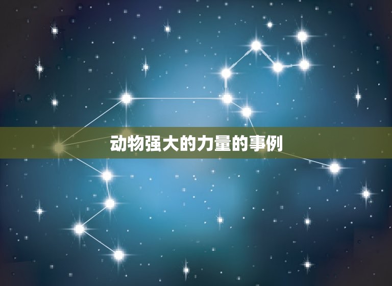 动物强大的力量的事例(震撼人心的自然界力量)  第3张