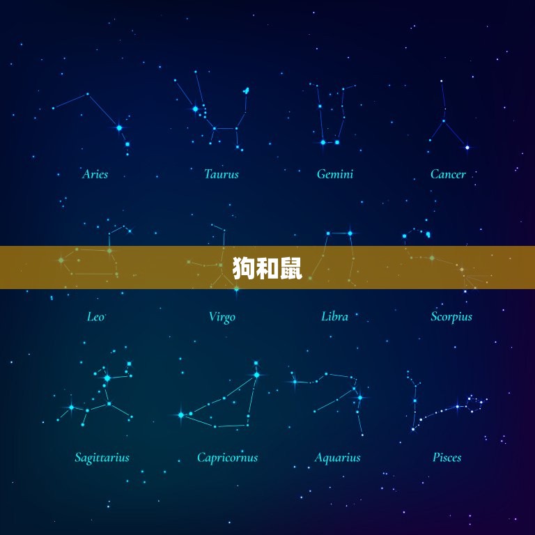 狗和什么属相结婚(如何选择婚配属相)  第1张