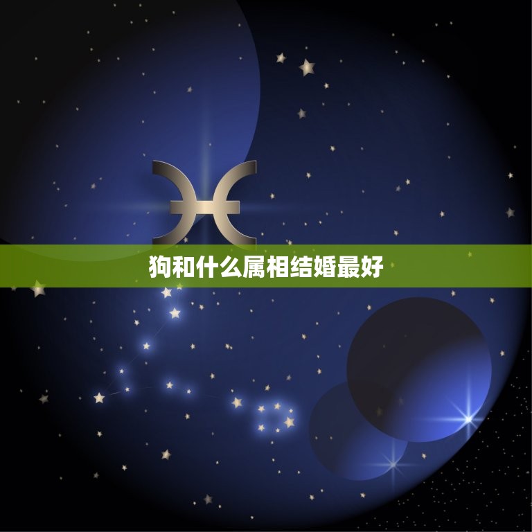 狗和什么属相结婚(如何选择婚配属相)  第3张