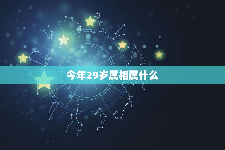 今年29岁属相属什么(介绍属相与命运的奥秘)  第3张