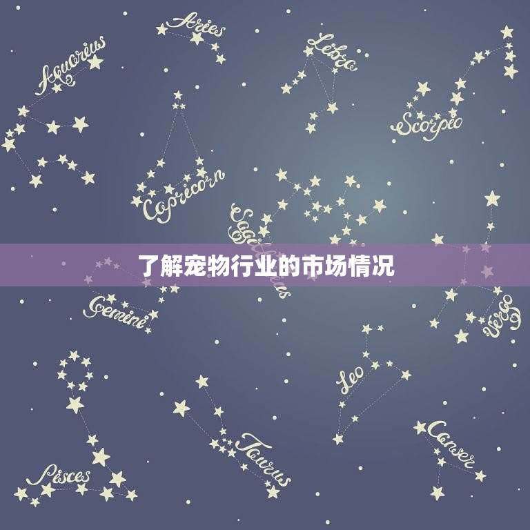 想开个宠物店怎么学(如何成为一名宠物店老板)