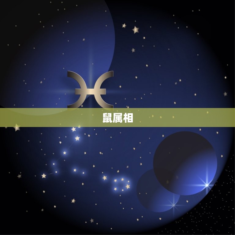 十二属相婚姻搭配(如何选择最适合你的伴侣)