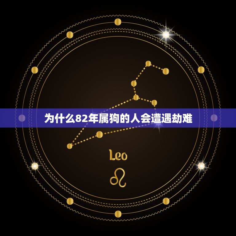 82年属狗劫难的岁数(如何化解厄运)  第2张