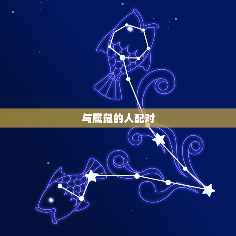 属狗的与什么相配(寻找配对)