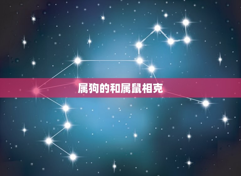 属狗的和什么属相相克(十二生肖相克狗与这些属相不宜搭配)