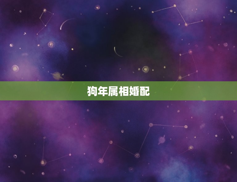 狗婚姻跟什么属相(如何选择婚配)  第2张