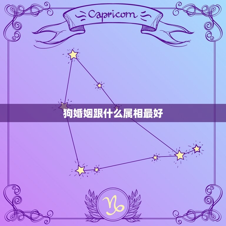 狗婚姻跟什么属相(如何选择婚配)  第3张