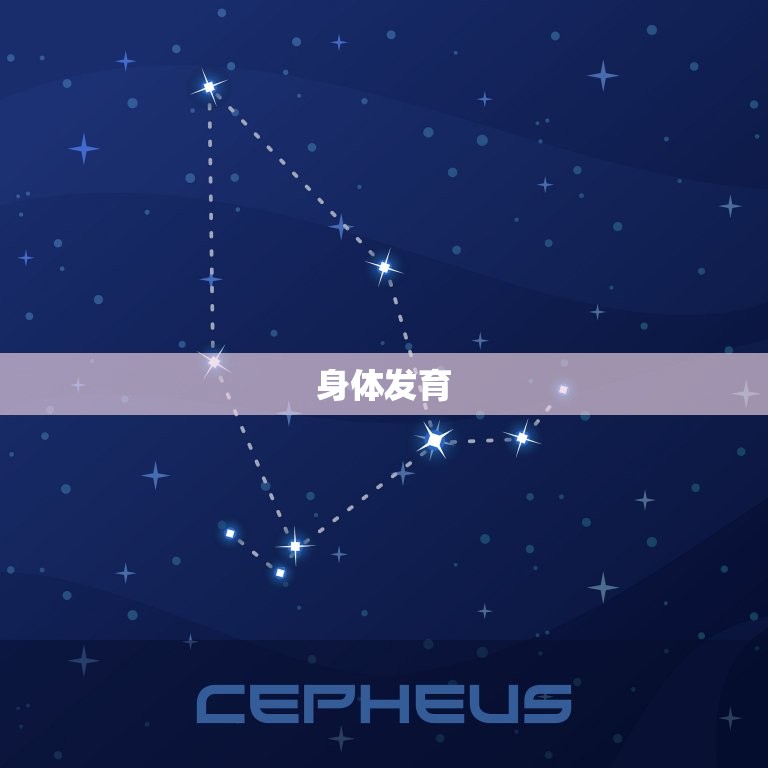 2023年属狗的多大(狗年宝宝们的计划)