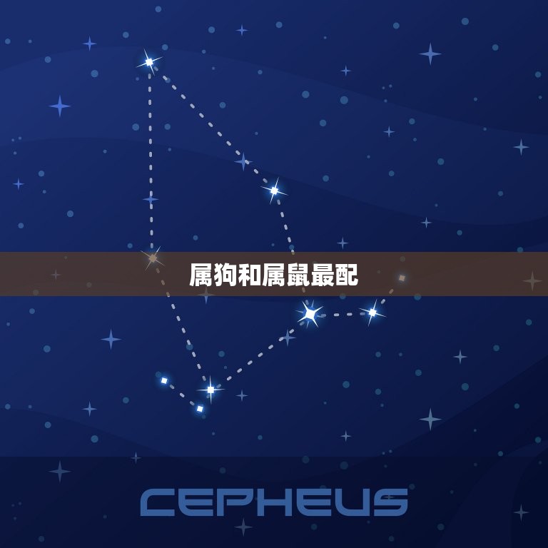属狗和什么属相最配对(搭配爱情事业两得意)