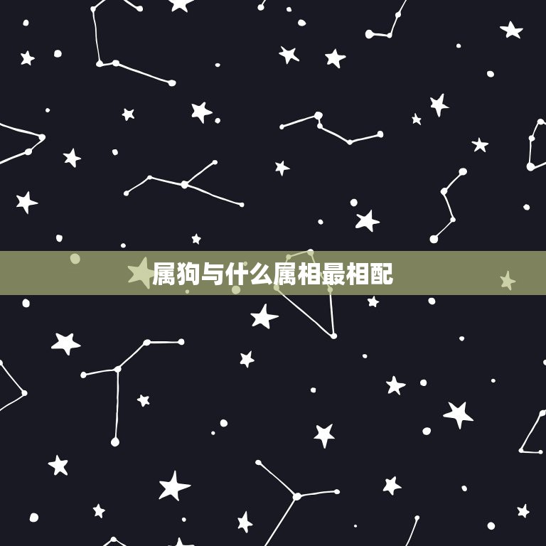 属狗与什么属相最相配(十二生肖中配对)  第3张