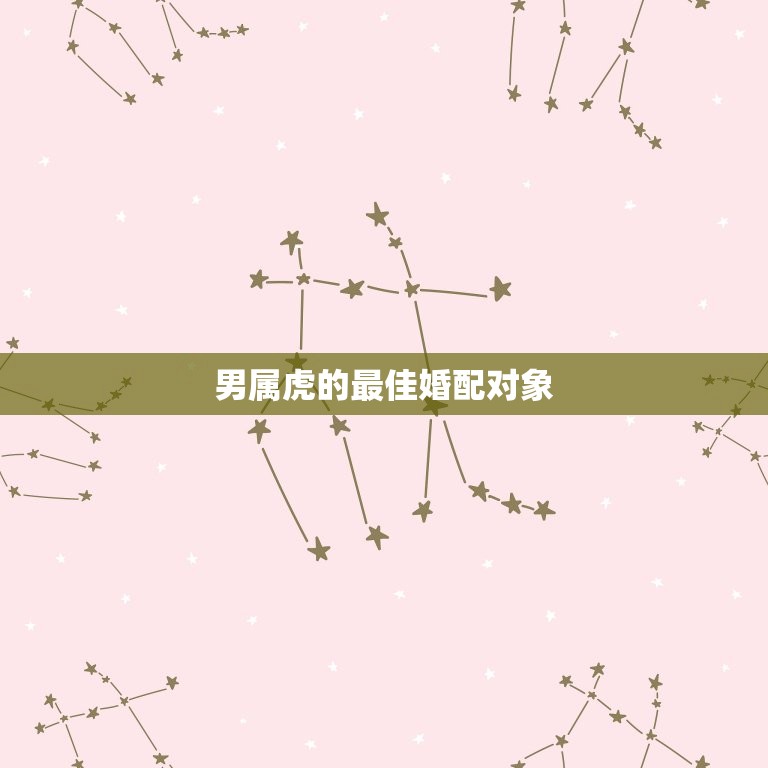 男属虎的婚配对象(如何选择)  第3张
