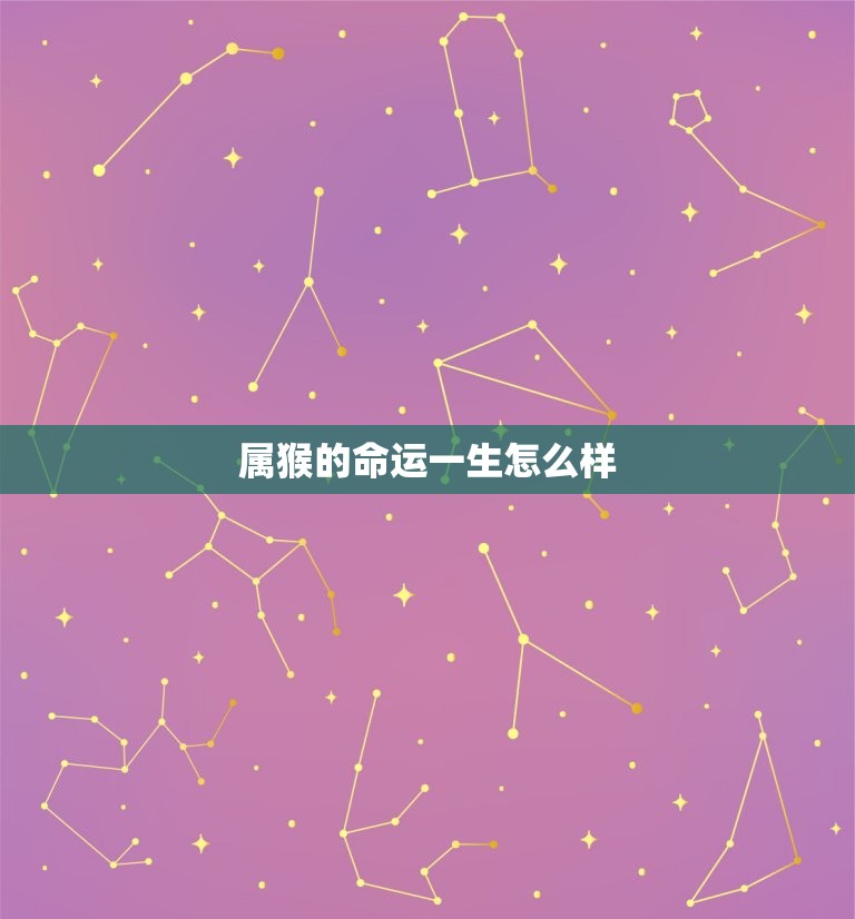 属猴的命运一生怎么样(介绍机智灵活的猴子命运如何)  第3张