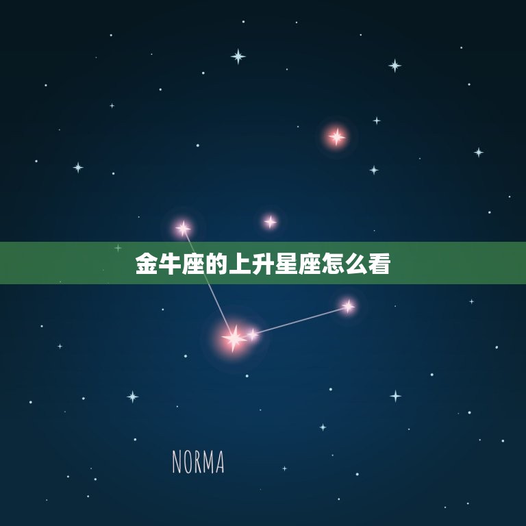 金牛座的上升星座怎么看